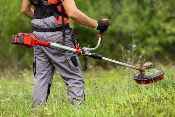 What are Brush Cutters and What are They Used for? What are Brush Cutters and What are They Used for?