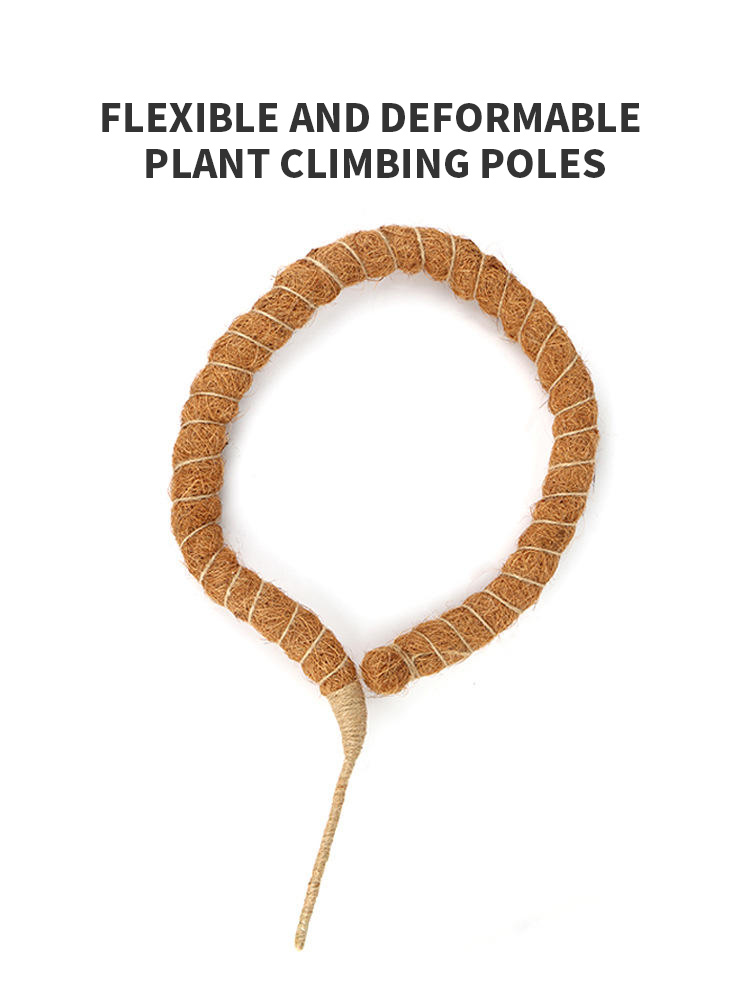 plant climbing pole