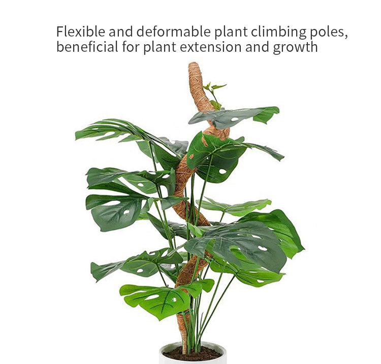 plant climbing pole