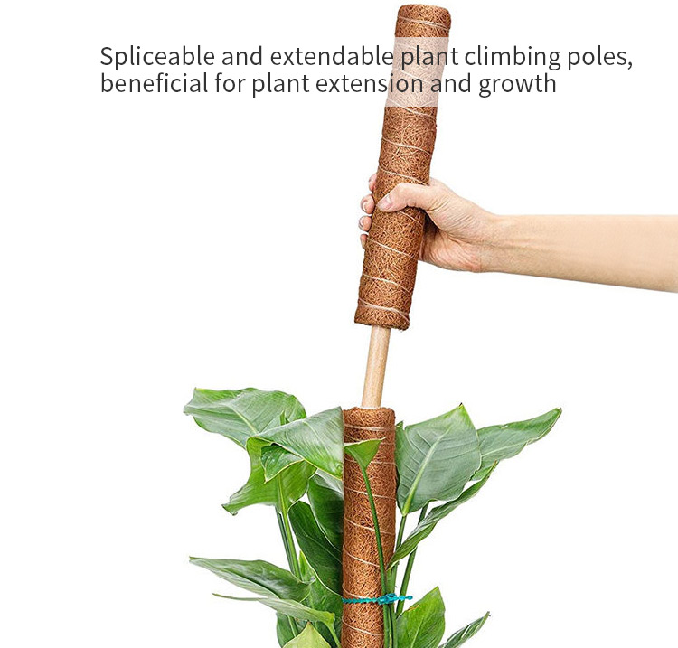 Plant Climbing Poles