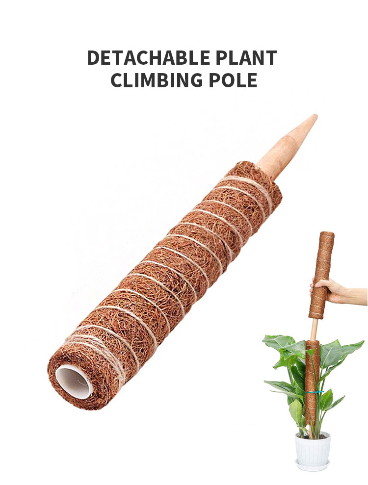 Detachable plant climbing pole