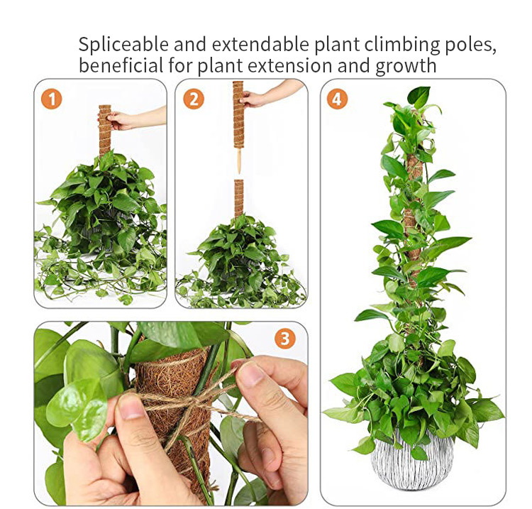 Detachable plant climbing pole