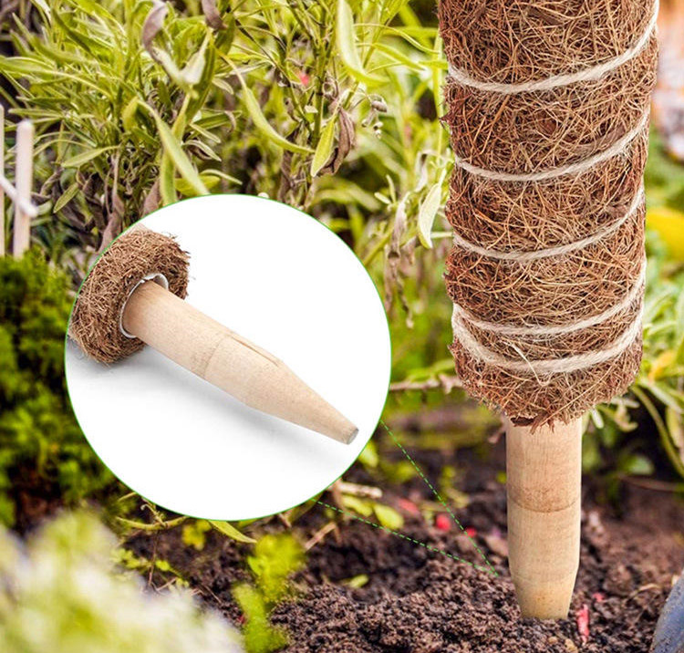 Detachable plant climbing pole