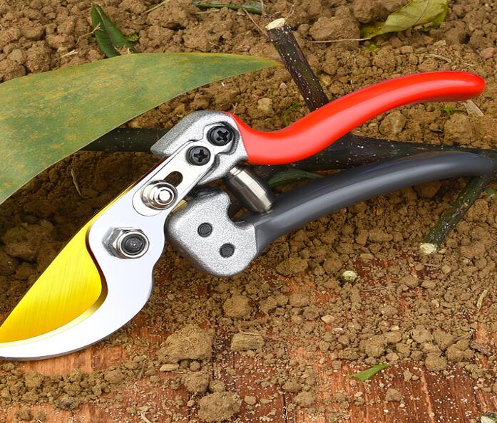 Must-Have Pruning Tools for Gardeners