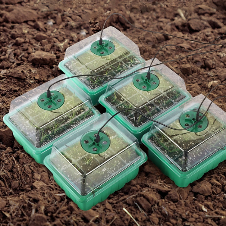 Seeding Trays