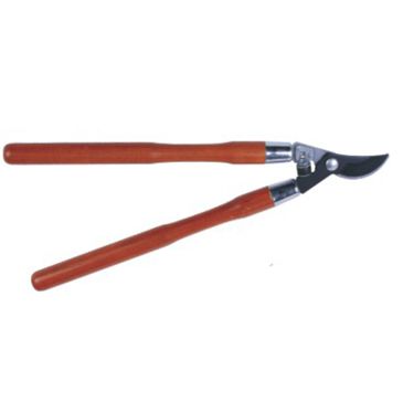 Tree branch cutter