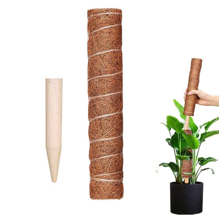 Detachable plant climbing pole