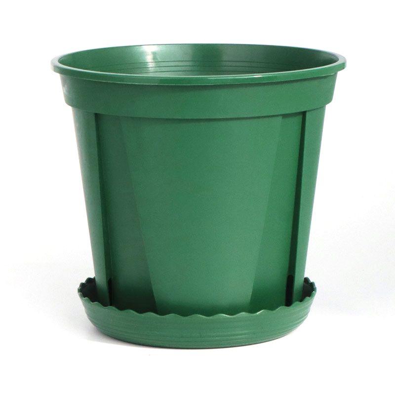 Plant Pot