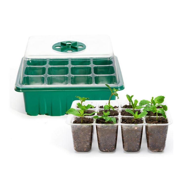 Seed Trays