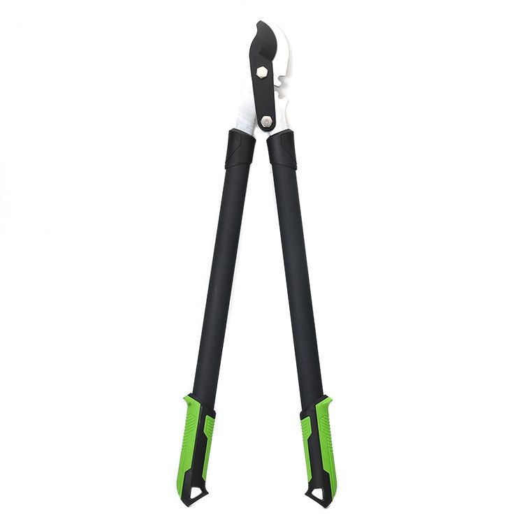 Extendable Lopping Shears